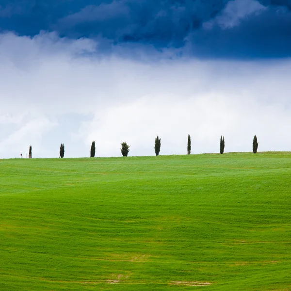 Toscana — Fotografia de Stock