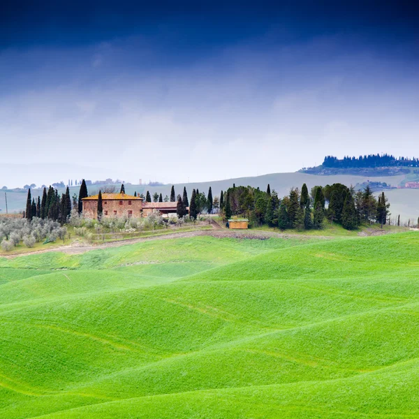 イタリアの典型的なトスカーナの風景 — ストック写真