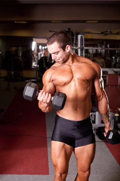 Bodybuilder training — Stock Photo, Image