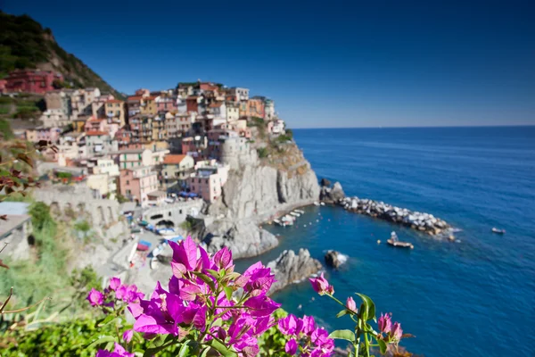 Manarola, cinque terre, feld y — стоковое фото