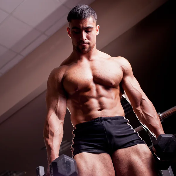 Bodybuilder training — Stock Photo, Image