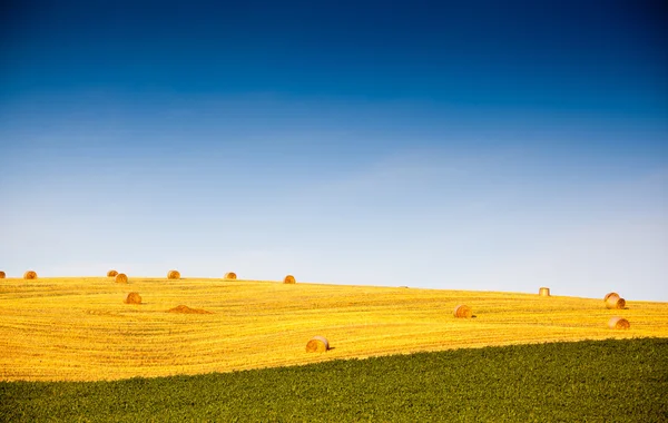 Balle di paglia — Foto Stock