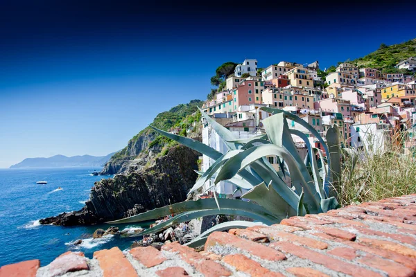 Riomaggiore, Cinque Terre, Italien — Stockfoto