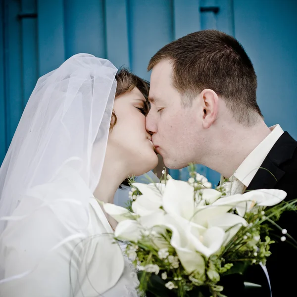 Matrimonio coppia — Foto Stock