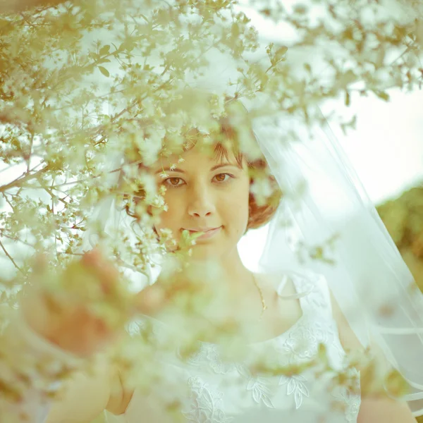 Young bride — Stock Photo, Image