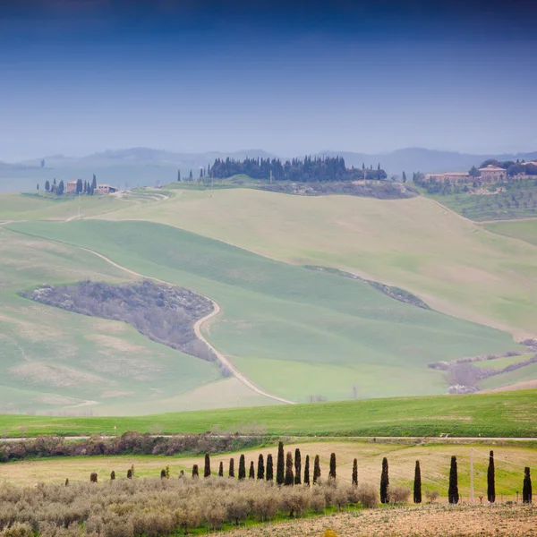 Tuscany Royalty Free Stock Images