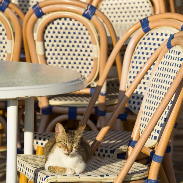 Wooden chairs — Stock Photo, Image