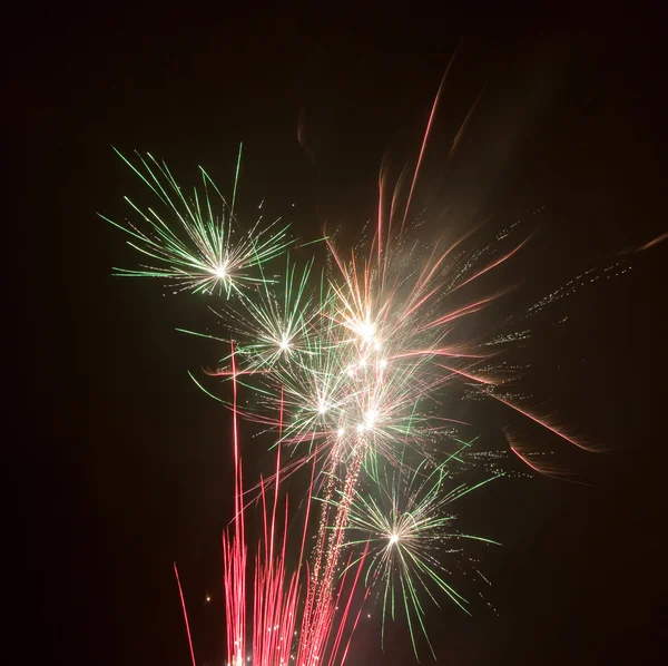Beautiful colorful firework — Stock Photo, Image