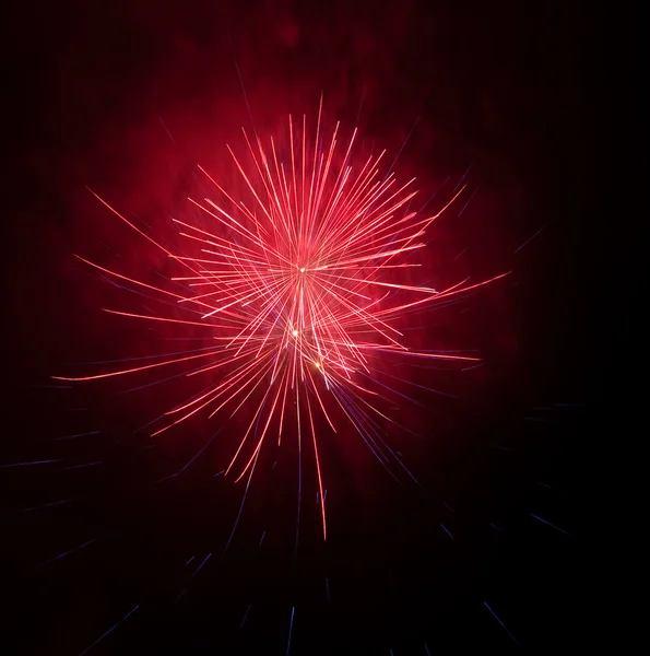 Beautiful colorful firework — Stock Photo, Image
