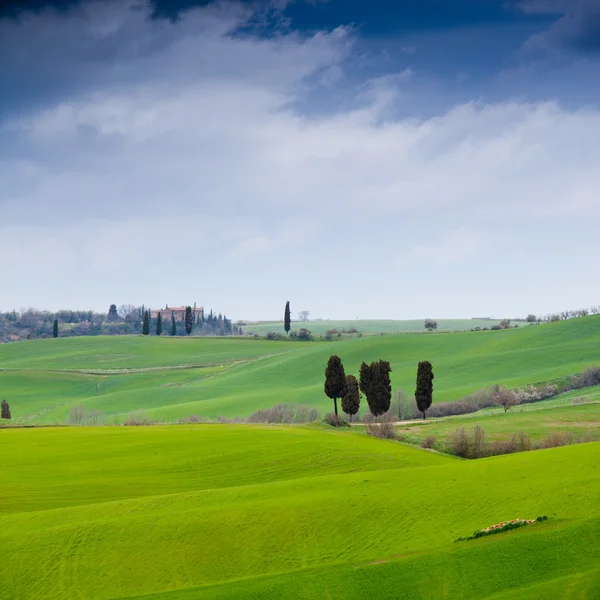 Paisaje típico toscano en Italia — Foto de Stock