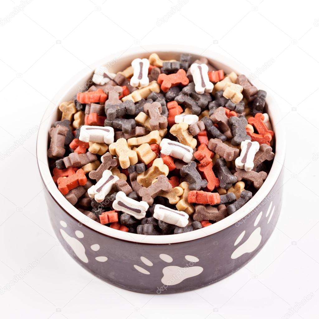 Large bowl of dog food