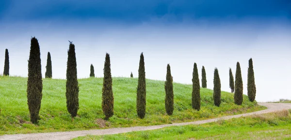 Paisagem típica da Toscana na Itália — Fotografia de Stock