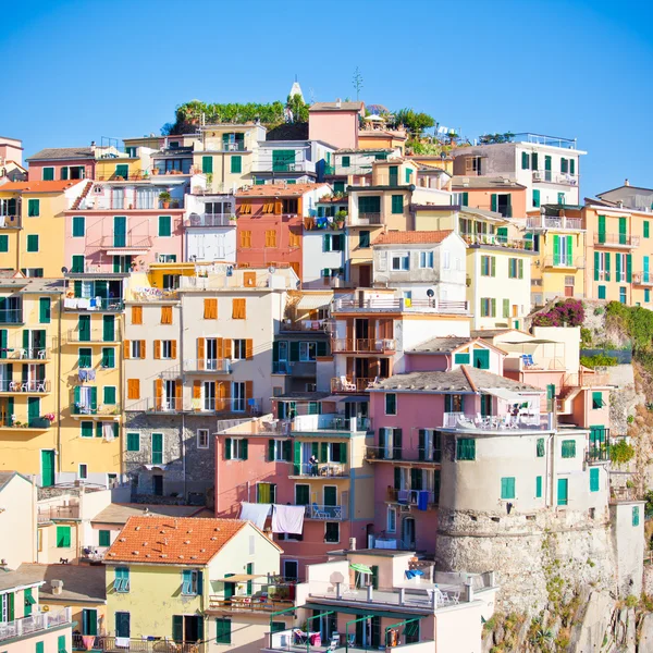 Manarola, cinque terre, feld y — стоковое фото