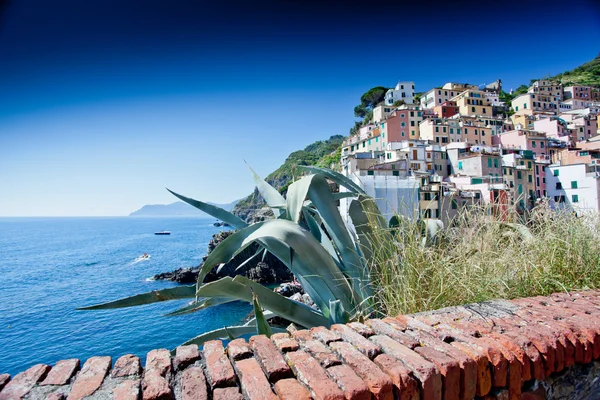 Riomaggiore, cinque terre, italia — Foto Stock