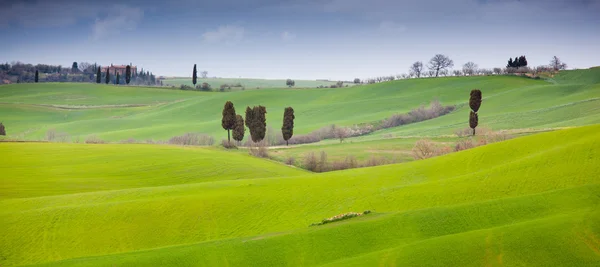 トスカーナの美しい風景,イタリア — ストック写真