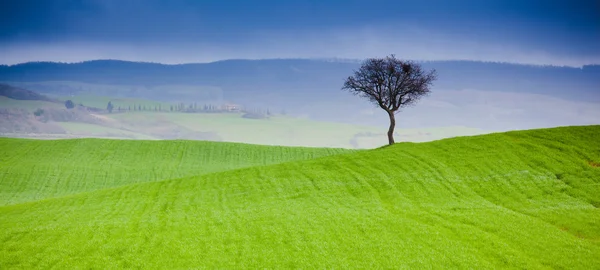 Toscana — Fotografia de Stock