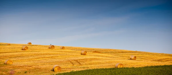 Balle di paglia — Foto Stock