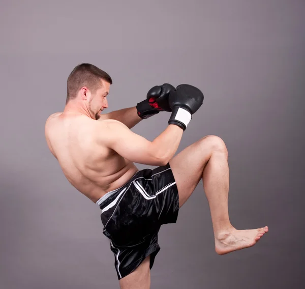 Boxeador. — Fotografia de Stock