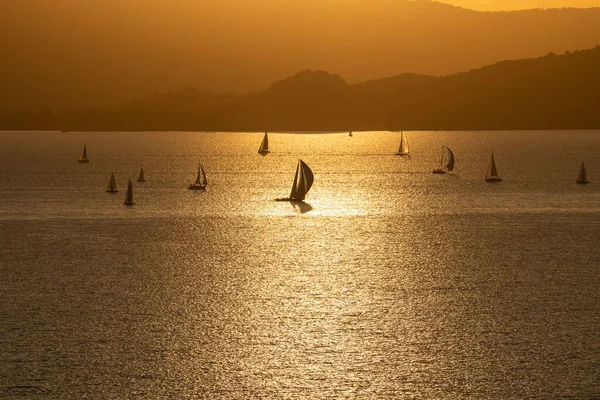 Gün batımında Balaton Gölü 'nde yelkenli.