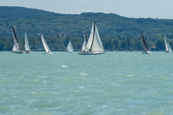 Tihany Června Plachetnice Soutěžit Mistrovství Kekszalag Jezera Balaton Dne Července — Stock fotografie