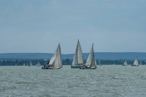 Tihany July Sailing Boats Compete Kekszalag Championship Lake Balaton July — Foto Stock