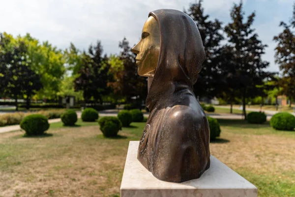 Budapest Hungary August 2022 Portrait Statue Satoshi Nakamoto Mysterious Founder — Fotografia de Stock