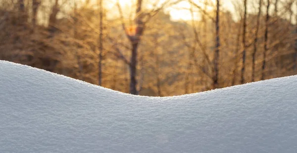 Eine Schneewehe Auf Dem Hintergrund Eines Herbstwaldes — Stockfoto
