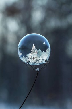 Donmuş sabun köpüğü beyaz karda