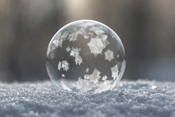 Burbuja Jabón Congelado Primera Nieve — Foto de Stock