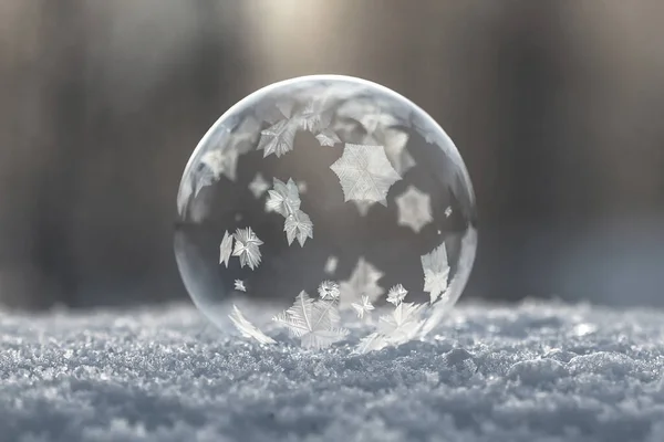 Bolha Sabão Congelada Primeira Neve — Fotografia de Stock