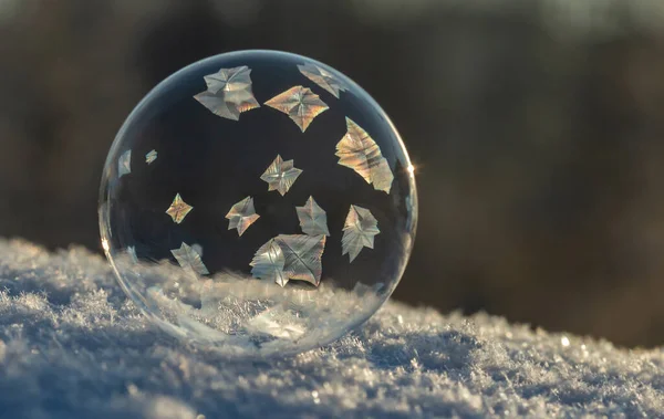 Замороженный Мыльный Пузырь Снегу — стоковое фото