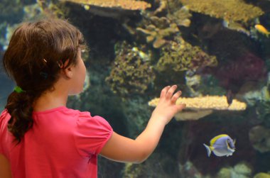 kız yılında oceanarium