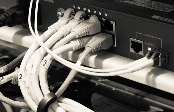 Cables de red UTP conectados a puertos Ethernet Fast-Giga —  Fotos de Stock
