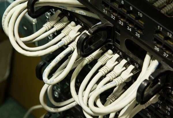 UTP netwerk kabels aangesloten op patch panel — Stockfoto