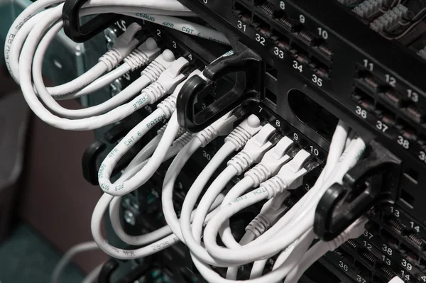 Utp Netzwerkkabel an Patch Panel angeschlossen — Stockfoto