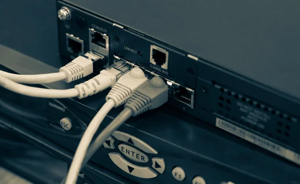 Cables de red UTP conectados a puertos Ethernet Fast-Giga Imagen de archivo