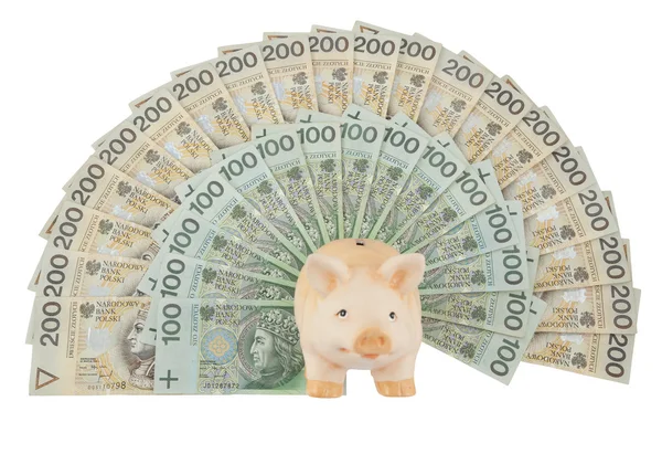 Porquinho com dinheiro — Fotografia de Stock