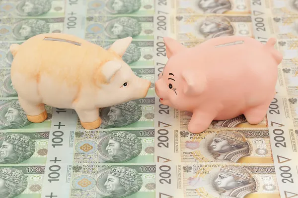 Świnia z pieniędzmi — Zdjęcie stockowe