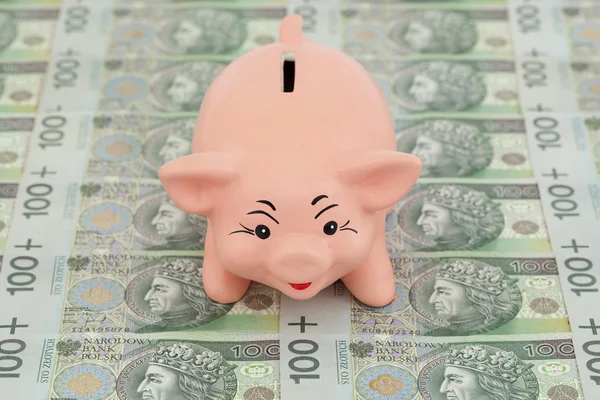 Porquinho com dinheiro — Fotografia de Stock
