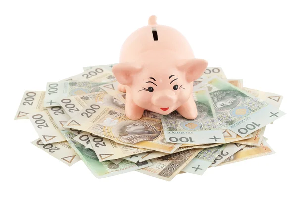 Piggy avec de l'argent — Photo