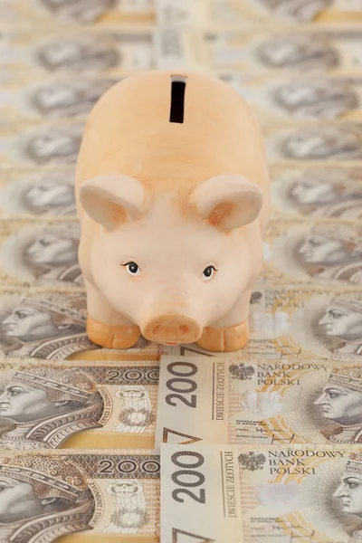 Świnia z pieniędzmi — Zdjęcie stockowe