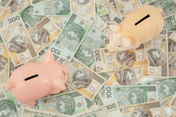 Varkens met geld — Stockfoto