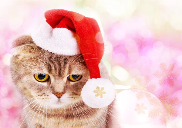 Χαριτωμένο Χριστούγεννα γάτα στο καπέλο του Άγιου Βασίλη στο ζωηρόχρωμο κλίμα — Φωτογραφία Αρχείου