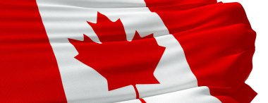 Beyaz arkaplanda Kanada bayrağı - 3B Hazırlama