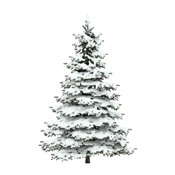 白色背景下覆盖着雪的圣诞树 3D渲染 — 图库照片
