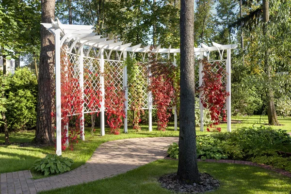 Pergola trädgård — Stockfoto