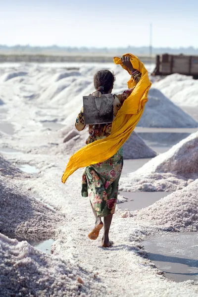 Salt works, Sambhar salt lake, Rajasthan, India — Stock Photo, Image