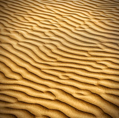 kum ve thar çöl dunes.