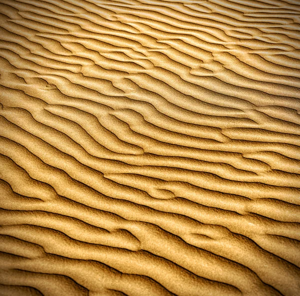 Sand och sanddyner i thar-öknen. — Stockfoto