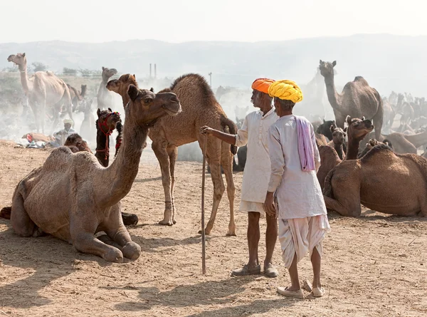 Pushkar rättvis — Stockfoto